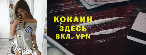 молекула духа Козловка