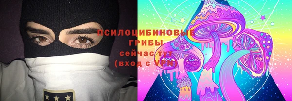 бутират Ессентукская