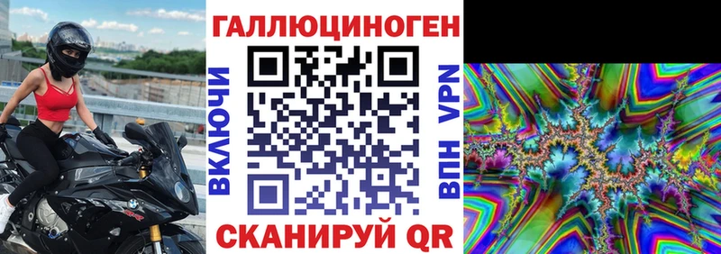 Купить где  Короча  Псилоцибиновые грибы Psilocybine cubensis 