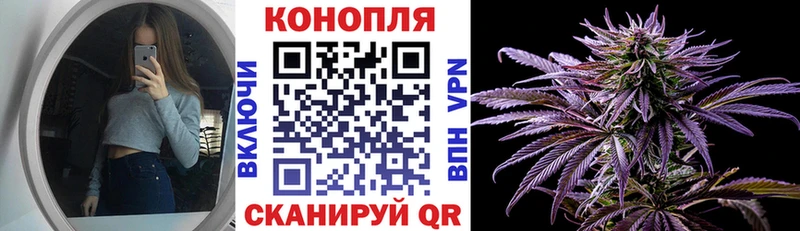 Канабис AK-47  Купить закладки  Короча 